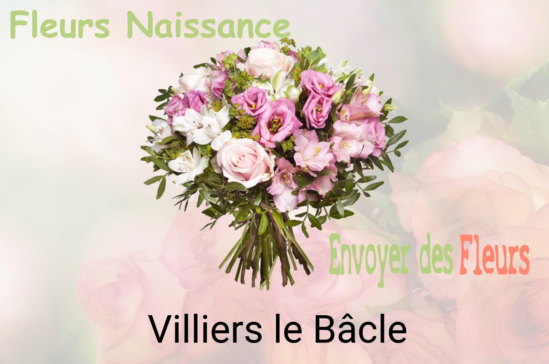 Bouquet de fleurs de naissance livré à Villiers-le-Bâcle