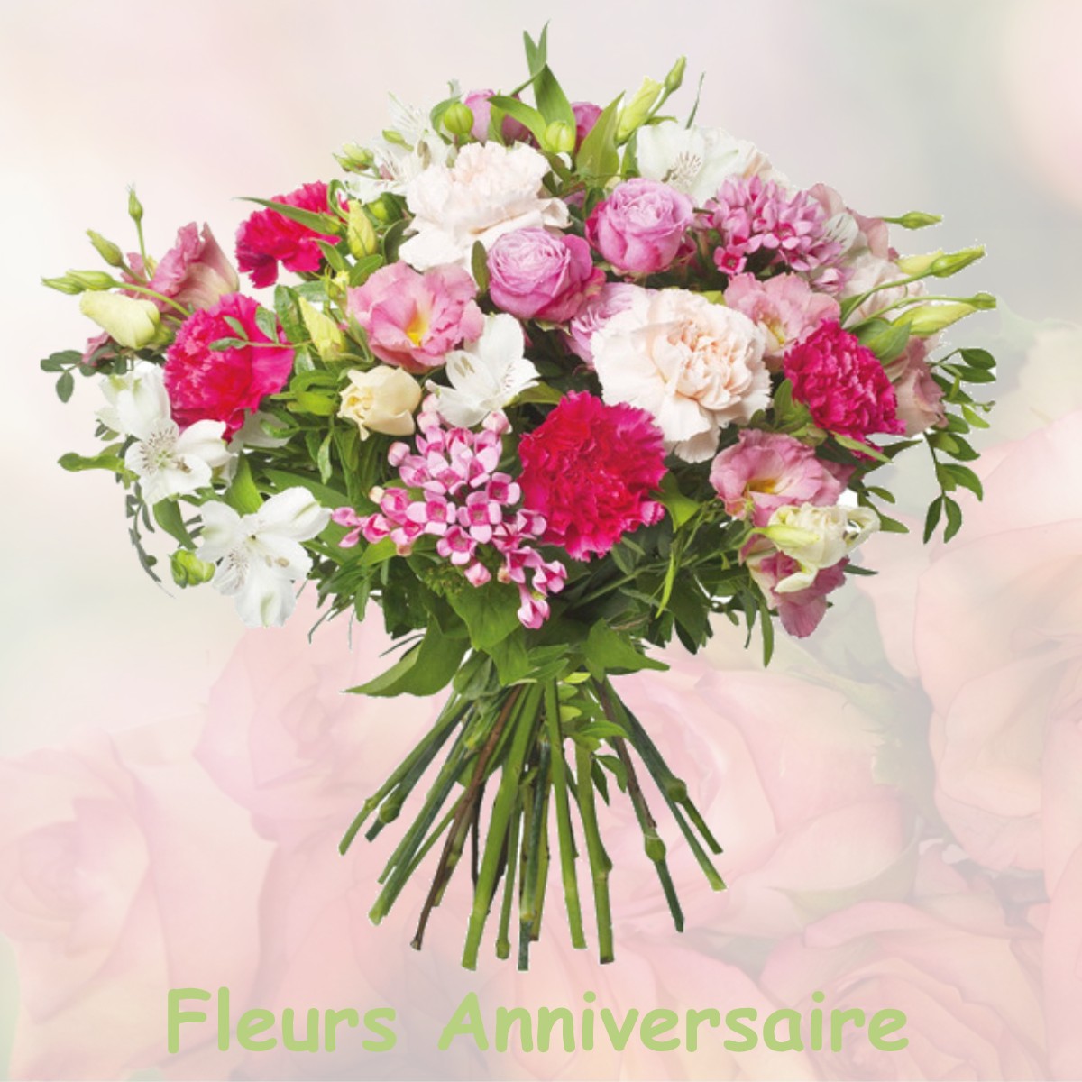 fleurs anniversaire VILLIERS-LE-BACLE