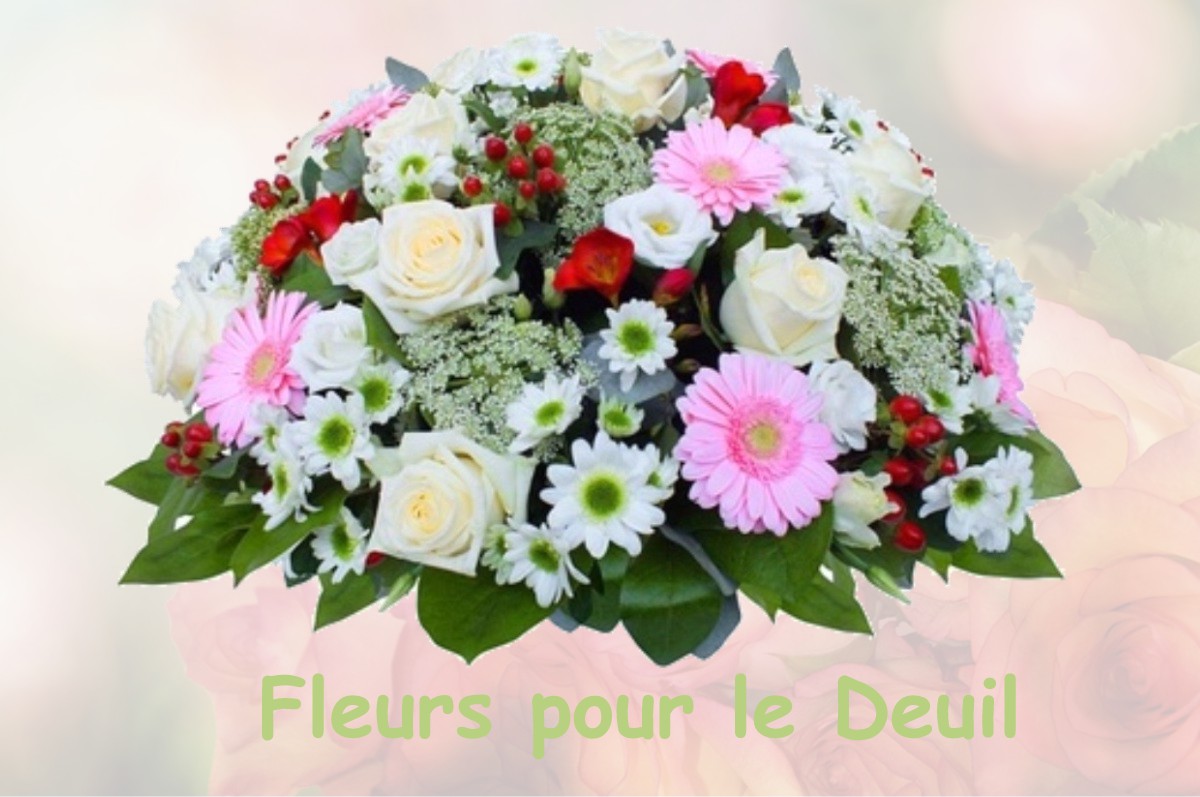 fleurs deuil VILLIERS-LE-BACLE